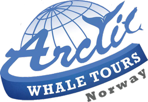 Arctic Whale Tours logo