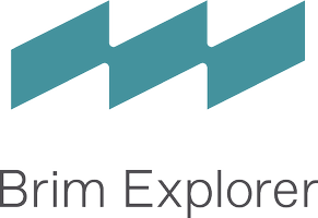Brim Explorer logo