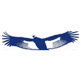 Condor Shipping logo