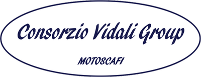 Consorzio Vidali Group logo