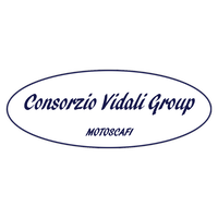 Consorzio Vidali Group logo