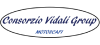 Consorzio Vidali Group logo