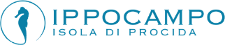 Ippocampo logo
