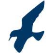 Wasaline logo